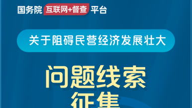 黑逼后入国务院“互联网+督查”平台公开征集阻碍民营经济发展壮大问题线索